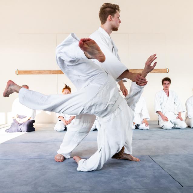 Zwei Prüfer in weißen Anzügen führen eine Aikido-Technik auf einer Matte vor, während Zuschauer zuschauen.