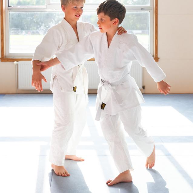 Zwei Kinder in weißen Judogis üben spielerisch auf einer Tatami mit Sonnenlicht im Hintergrund.