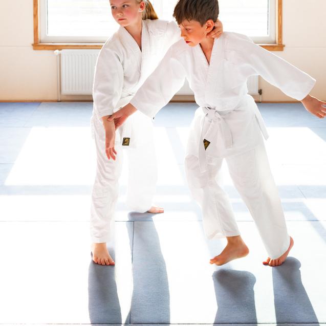 Zwei Kinder in weißen Judo-Anzügen üben greifende Bewegungen auf einer blauen Judomatte.