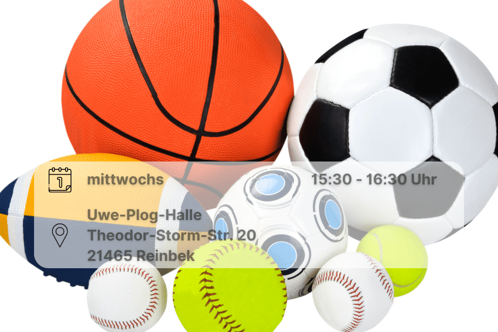 Bälle Ballsammlung mit Basketballl, Fußball, Tennisball,Volleyball und Football inklusive Orts- und Datumsangabe
