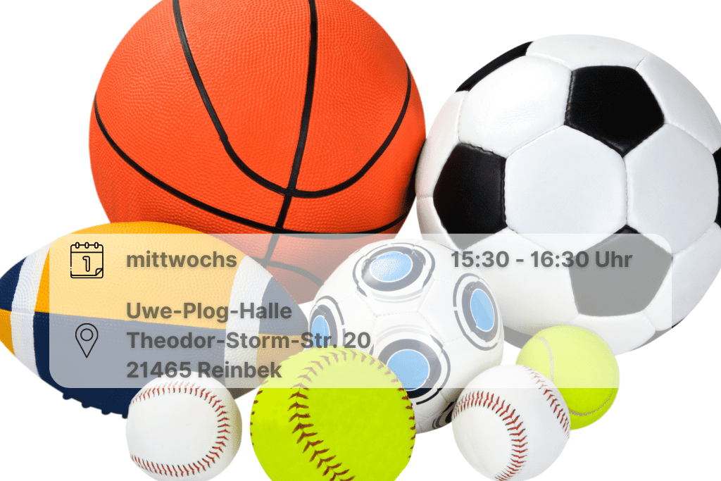 Bälle Ballsammlung mit Basketballl, Fußball, Tennisball,Volleyball und Football inklusive Orts- und Datumsangabe