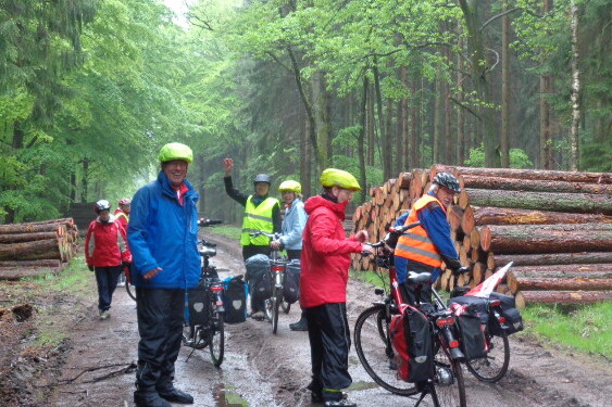 Radgruppe im Wald