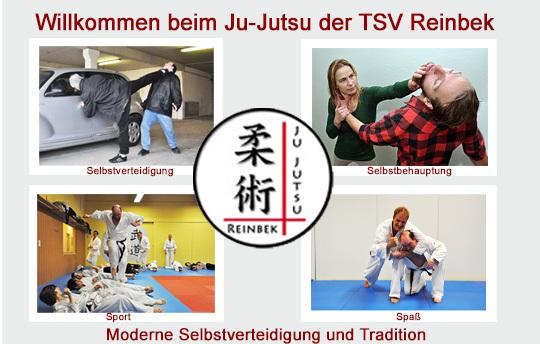 Titelbild Abteilungsseite Fotocollage von Fotos, die jeweils Ju-Jutsu-Kämpfer in Aktion zeigen