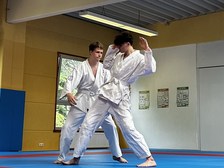 Trainingsaufnahme zweier Ju-Jutsu K&auml;mpfer