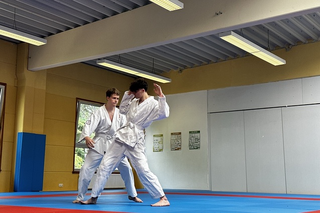 Trainingsaufnahme zweier Ju-Jutsu K&auml;mpfer