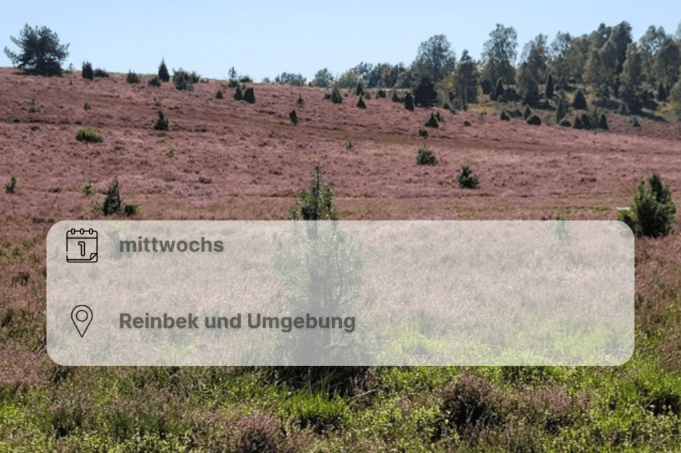 Wiese und Bäume Wiese und Bäume