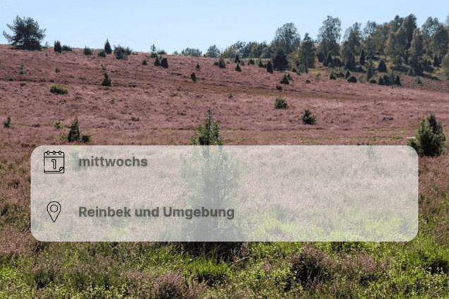 Wiese und B&auml;ume