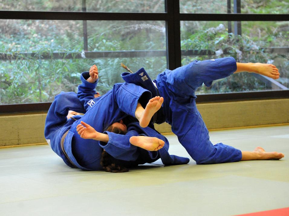 Zwei Judoka in blauer Judokleidung üben einen Bodenkampf auf einer tatami in einem lichtdurchfluteten Raum.